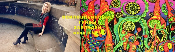 амфетамин Богданович