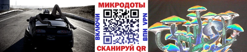 Галлюциногенные грибы Psilocybine cubensis blacksprut ссылка Кочубеевское